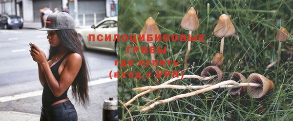 трава Зеленокумск
