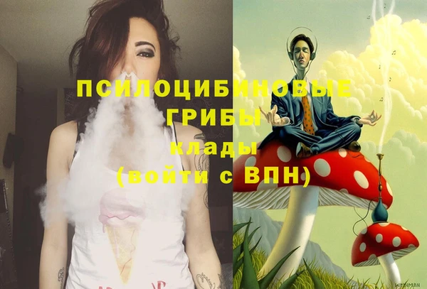 трава Зеленокумск