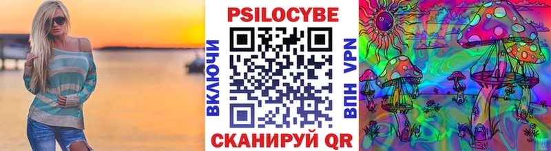 Галлюциногенные грибы Psilocybe Сибай